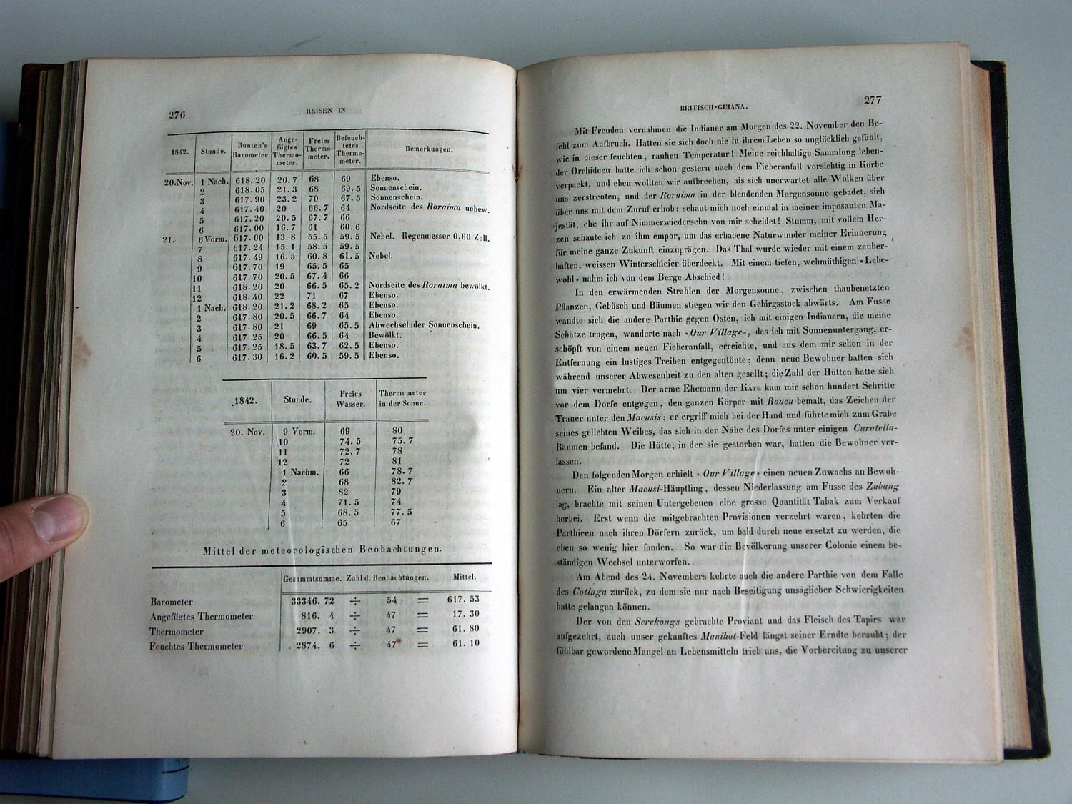 ZZ-RISC48,S.276 Macushi